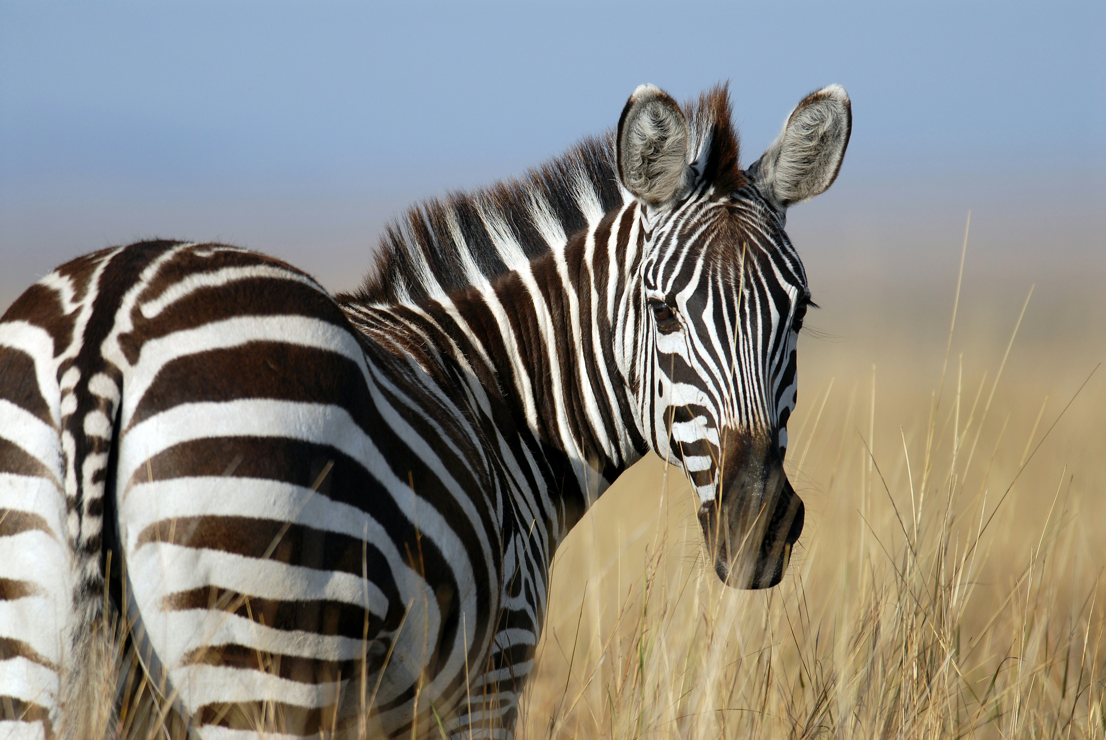 Lake Mburo National Park