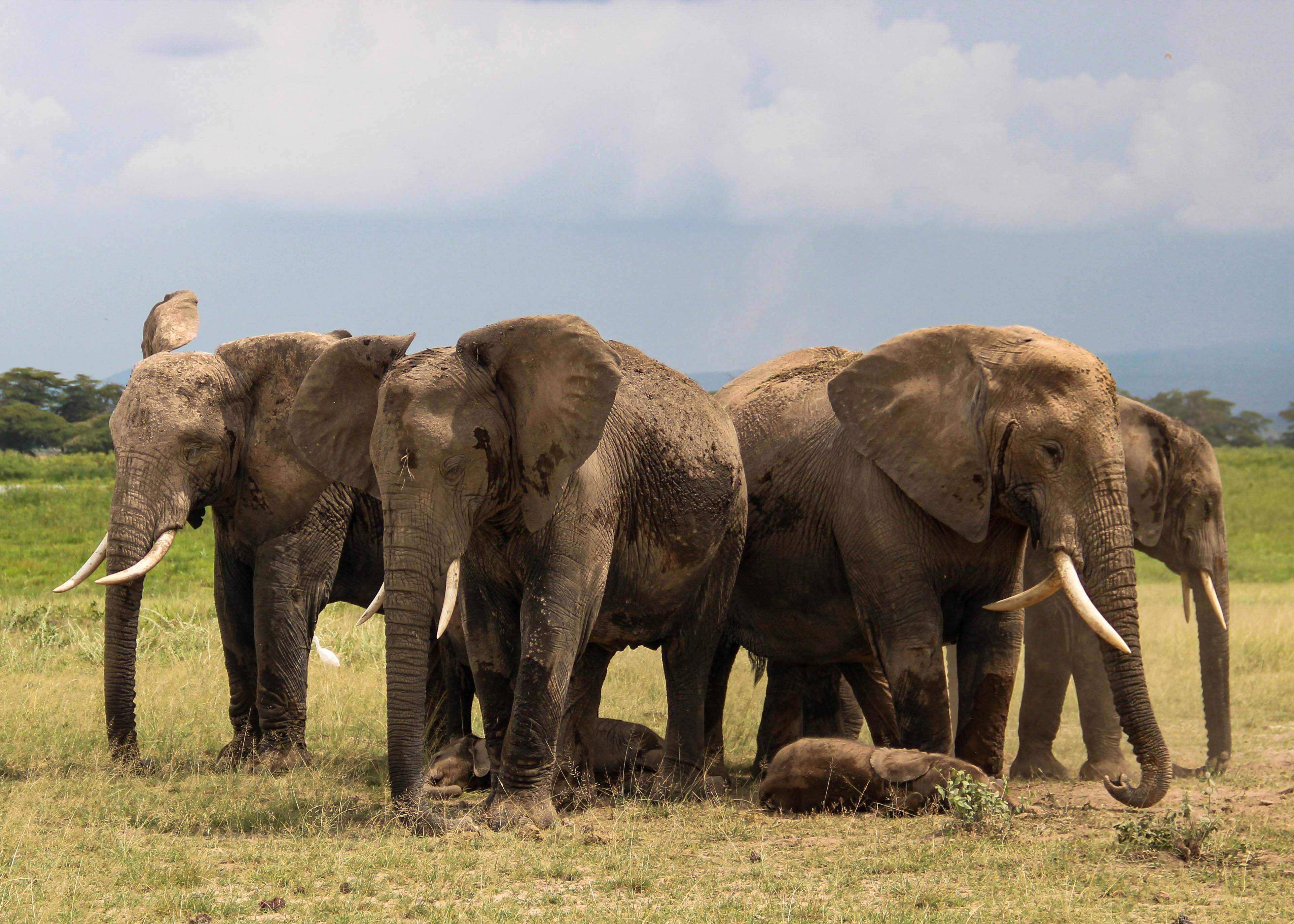 Queen Elizabeth National Park